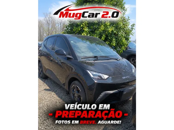 BYD Dolphin Mini (Elétrico) 2024
