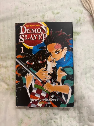 Volume 1 demon slayer 