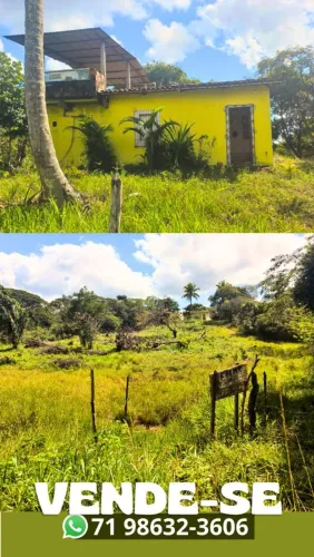 Sítio em Amado Bahia