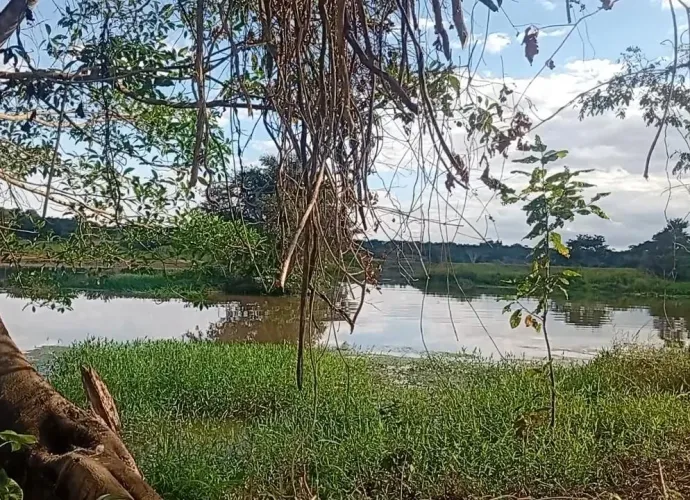 Chácaras parcelasdas perto de Goiânia. Com acesso ao rio e ao lago . O mais top de goias. 