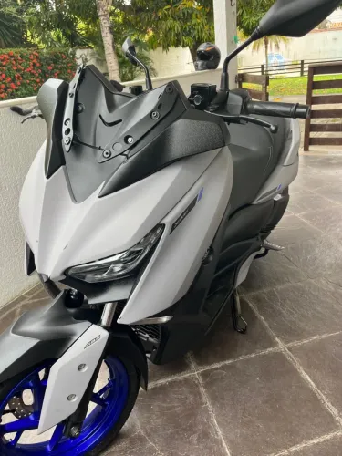 Xmax cinza