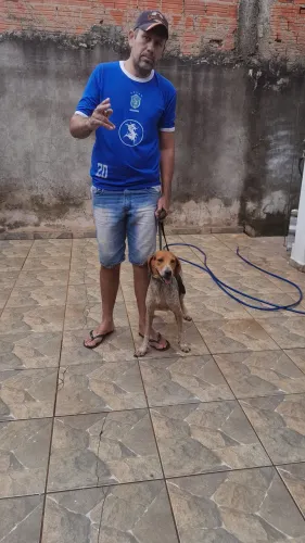Venda ou troca