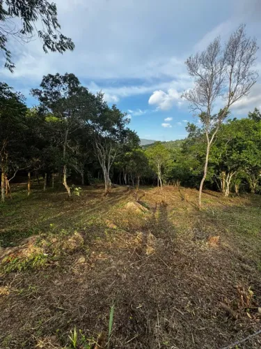 TERRENO RESIDENCIAL em FLORIANÓPOLIS - SC, RATONES