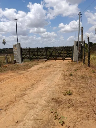 Fazenda 18 hectares em feira nova Pernambuco 