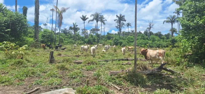 Vende-se ou troca 92 hectares