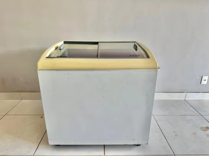 FREEZER 300L Tampa Vidro - 220V - Serpentina Cobre