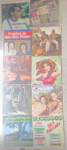 Lote de 10 discos de música sertaneja/brega/forro/baião 