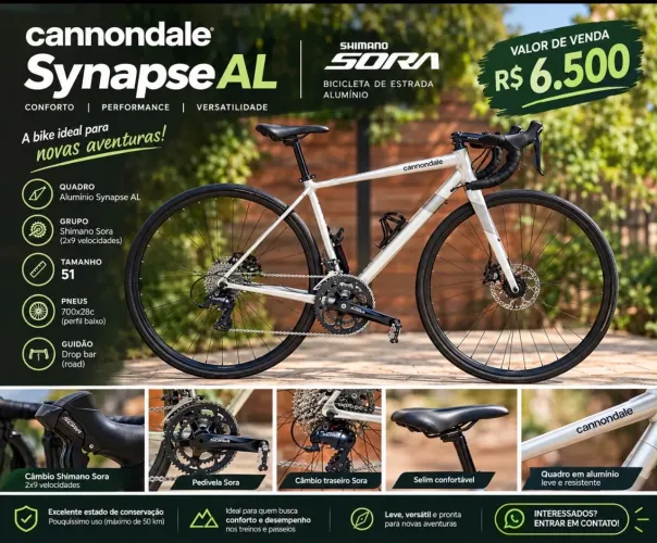 Cannondale Synapse