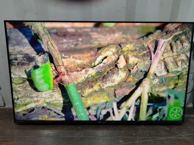 Smart TV Philco 50" 4K LED