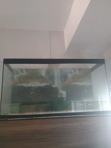 Vendo aguario de ?