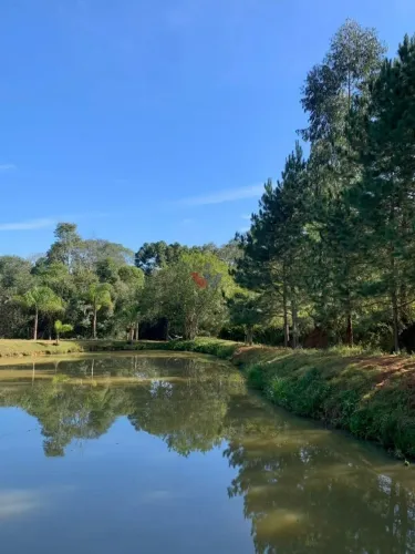 Chácara Completa com Casa, Varanda Gourmet, Tanques de Peixe, Pomar e Horta