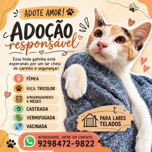Gatinha para adoção responsável