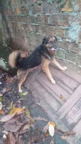 Doa-se urgente