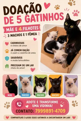 Mãe + 5 gatinhos