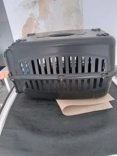 Caixa de transporte de cachorro e gato