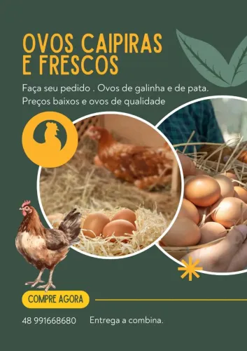 Ovos caipiras de galinha e pata