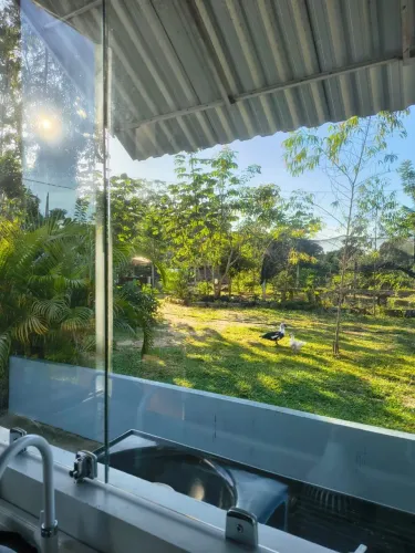 Vendo sítio no paricatuba 21 km de manaus