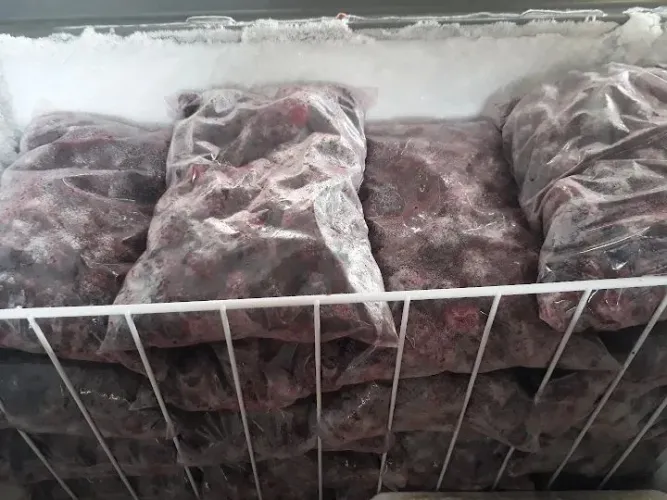 Frutas congeladas 