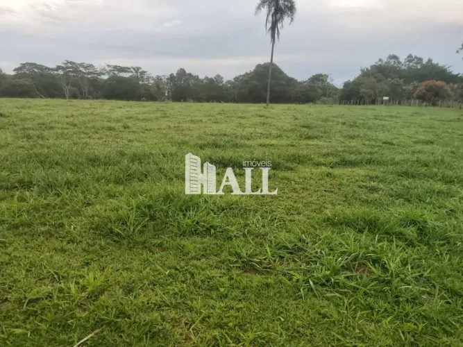 Sítio, ÁREA RURAL, Neves Paulista