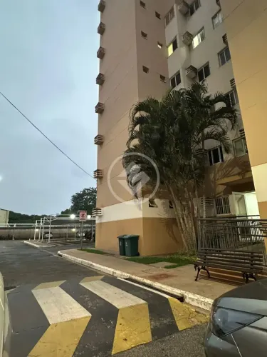 Oportunidade Única codigo: 333543