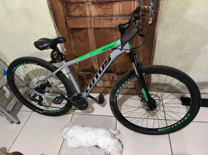 Bicicleta