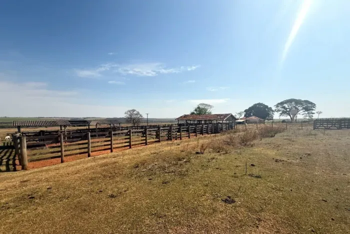 Fazenda 152,54 alqueires  - Flora Rica - SP