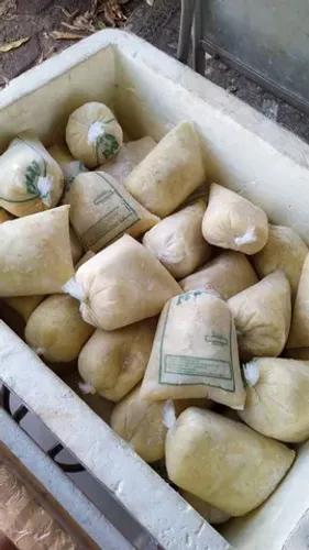 POLPA DE CUPUAÇU 15 R$ O KG (Cortada e 100% natural)