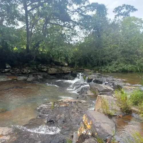 Vendo fazenda em Buritis MG 46 hectares dupla aptidão 