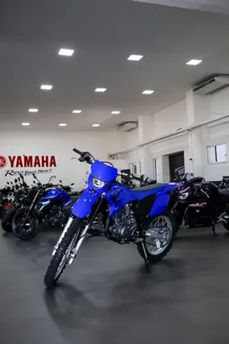 YAMAHA/ TTR 230  2025 A moto para descobrir o mundo off road