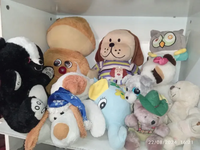 Bichinhos de pelúcia, kit com 12 diferentes. Tamanhos e formas diversas