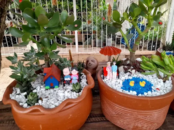 Minis jardins de cactos e suculentas 
