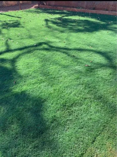 Grama de alta qualidade faça seu orçamento 