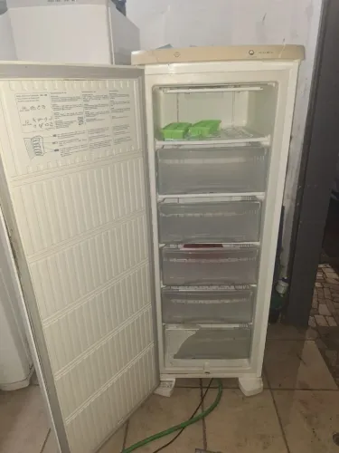 Freezer Electrolux