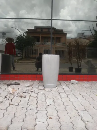 Vasos e plantas 