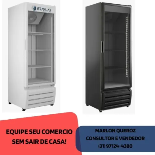 Congelador Vertical Braslar Industrial