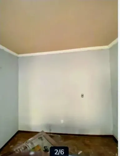 Só pinta profissional