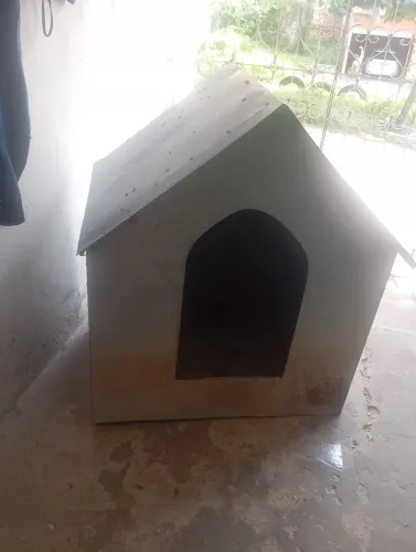 Casinha de cachorro ?