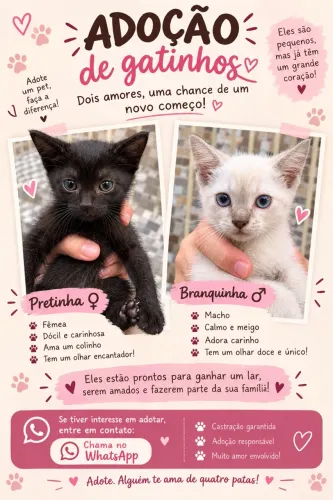 Adoção 