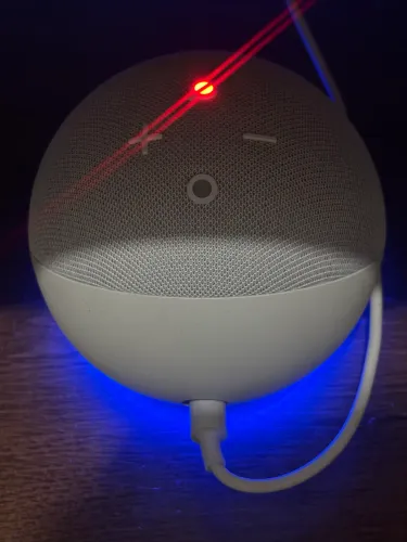 ALEXA NA CAIXA - NOVO