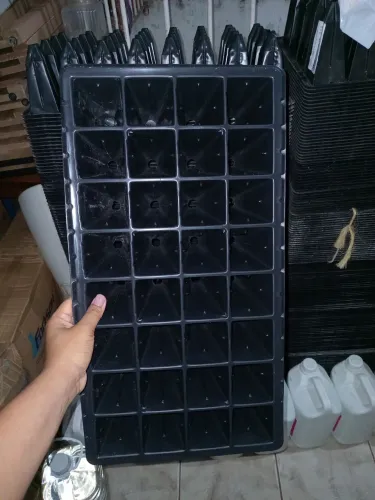 Bandejas para semeadura 