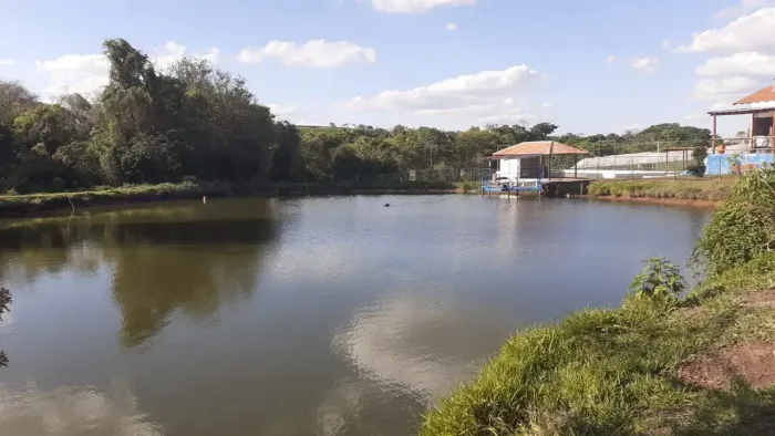 Casa sede ,confinamento ,planta café ,várias aptidões