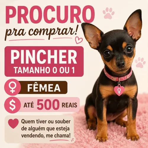 Procura pra comprar Pincher