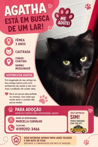 Doação responsável 