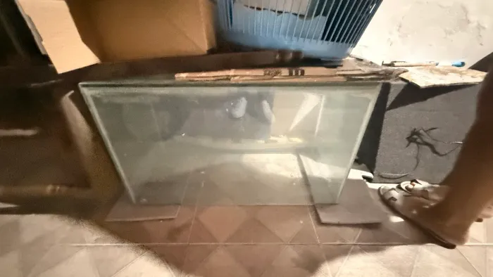 Aquário