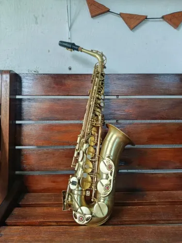 Saxofone Alto CSR Lark Revisado Envio Imediato para Todo Brasil 