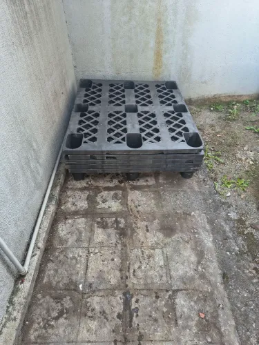 Paletes plásticos