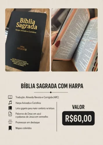  BÍBLIA SAGRADA COM HARPA AVIVADA E CORINHOS - LETRA GIGANTE ?