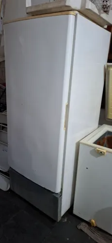 Cervejeira 531L