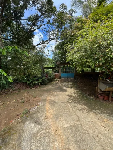 Vendo lote em Alzira Ramos