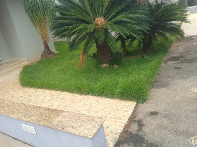 Limpezas de jardins 